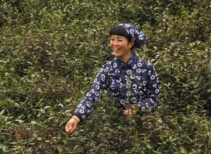 心理游戏